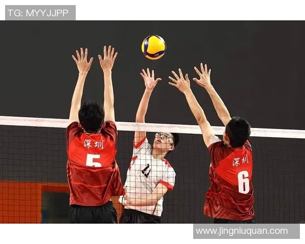 上海排球队在排球团队协作中取得新高成就引发广泛关注与赞誉