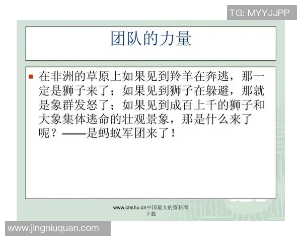 西安网球队团队协作表现的数据分析与提升策略探讨