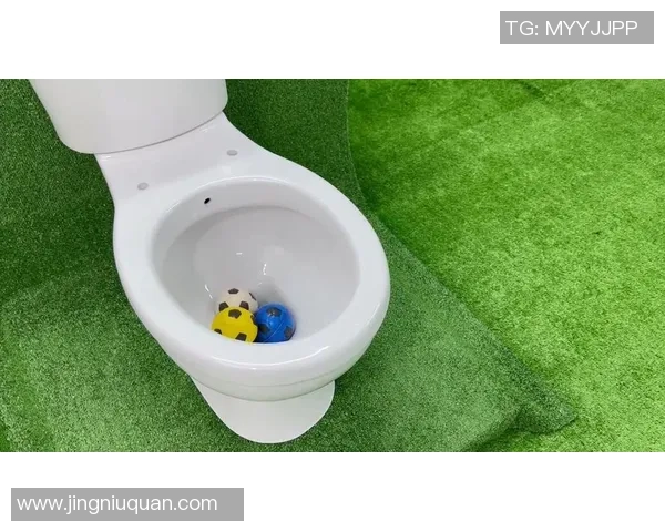 足球坐便器的奇妙设计与实用性探讨让你爱上每一次上厕所的体验