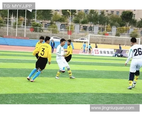 足球气多带来的激情与团结让我们共同感受这项运动的魅力与乐趣