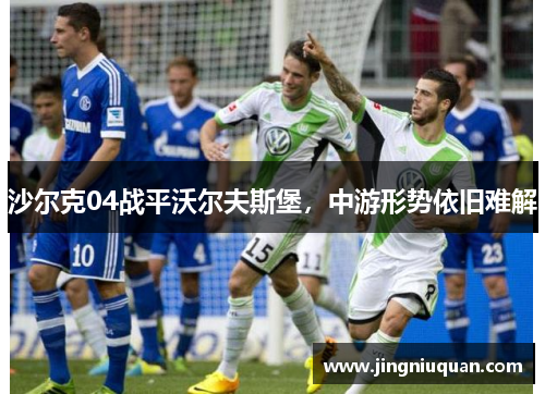 沙尔克04战平沃尔夫斯堡，中游形势依旧难解